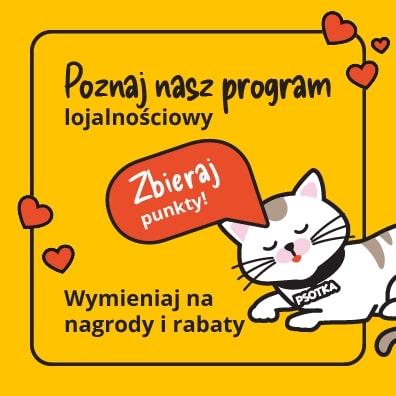 Program lojalnościowy Cziko - zbieraj punkty wymieniaj na nagrody i rabaty