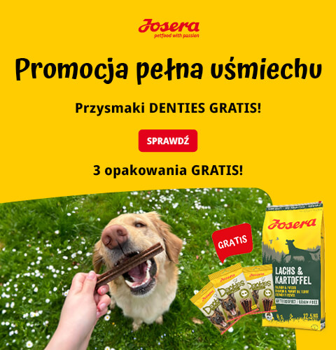 Promocja Josera sucha karma dla psa + 3x Denties Turkey &amp; Apple 180g GRATIS