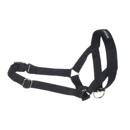 AMIPLAY Halter Basic obroża treningowa dla psa czarna - rozmiar XS